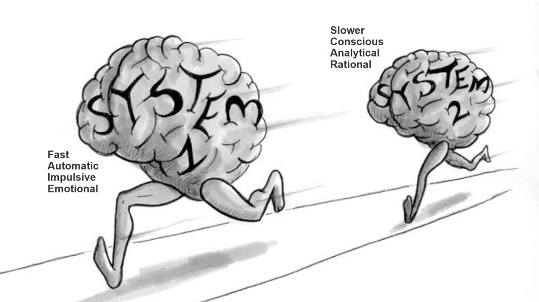 Illustration by Julia Suits